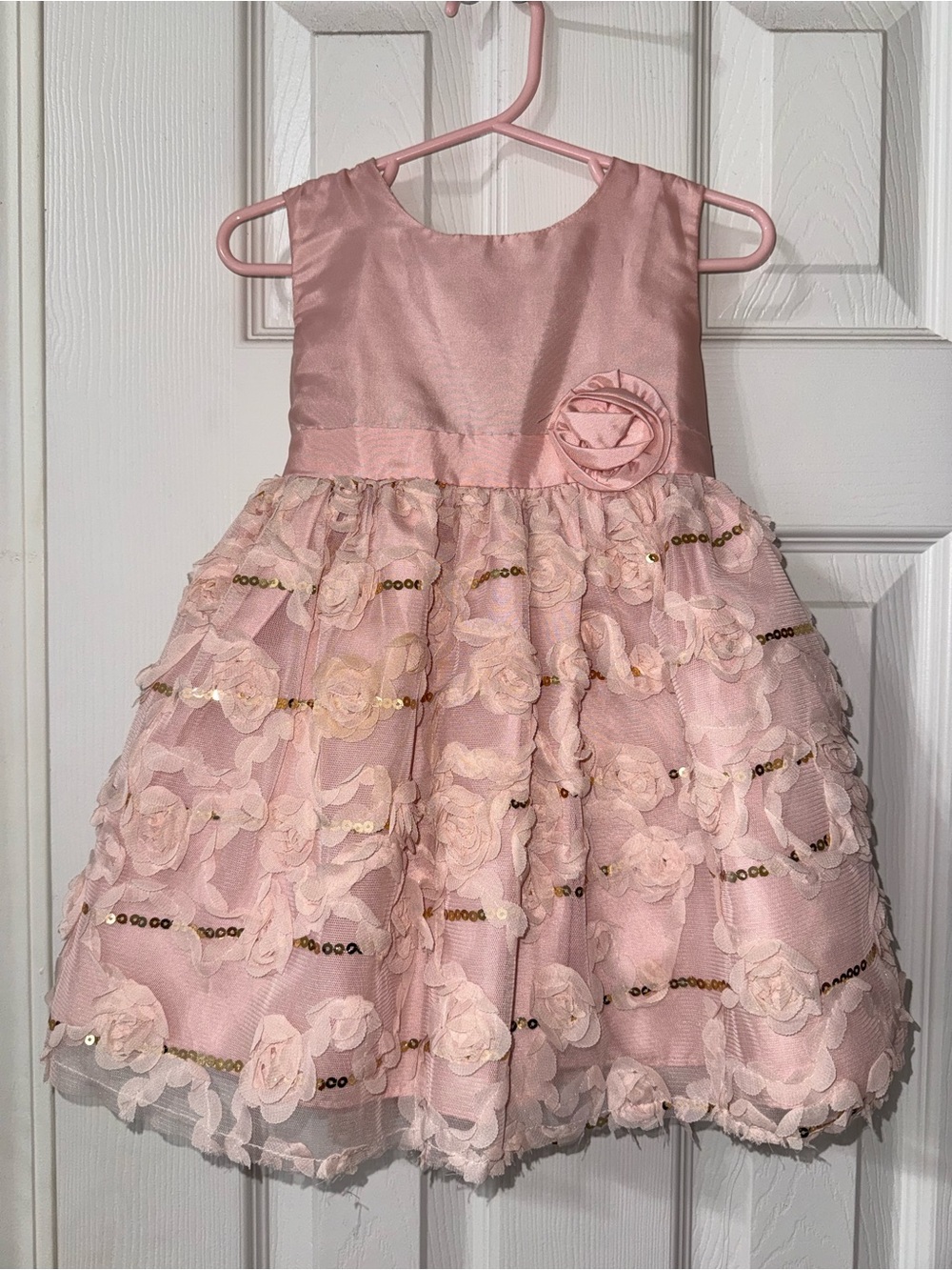 Emma Rose Girls Pink Floral Party Dress 2T NWT